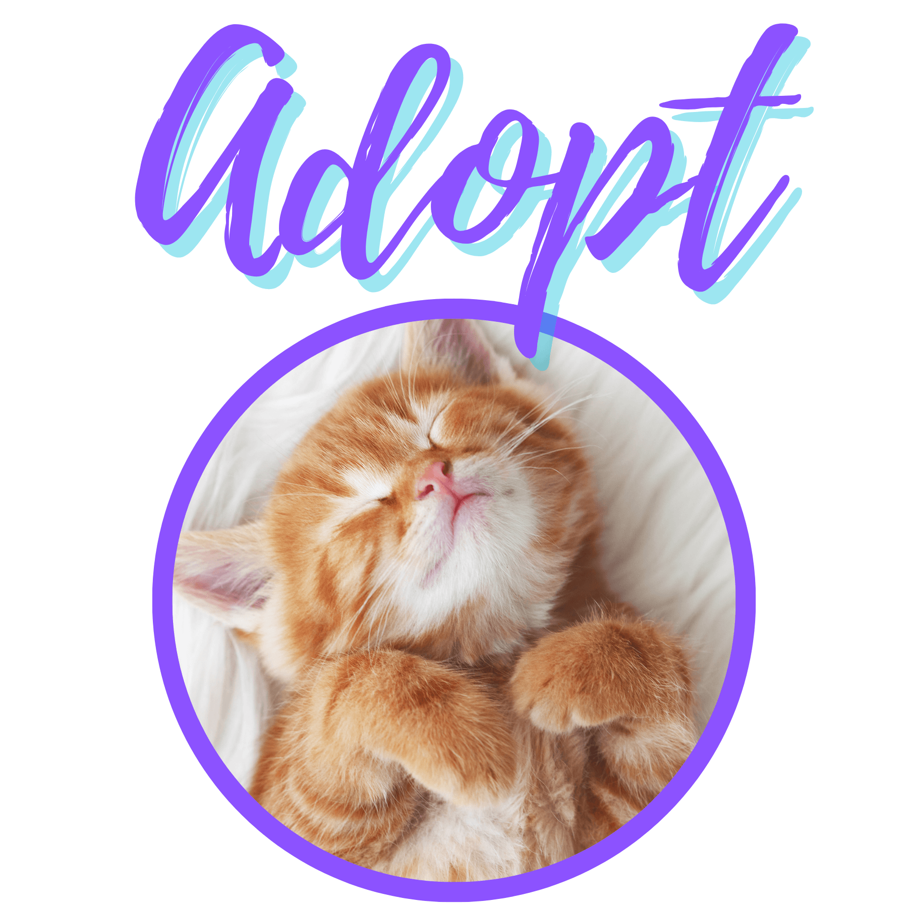 animal-services-adopt-static