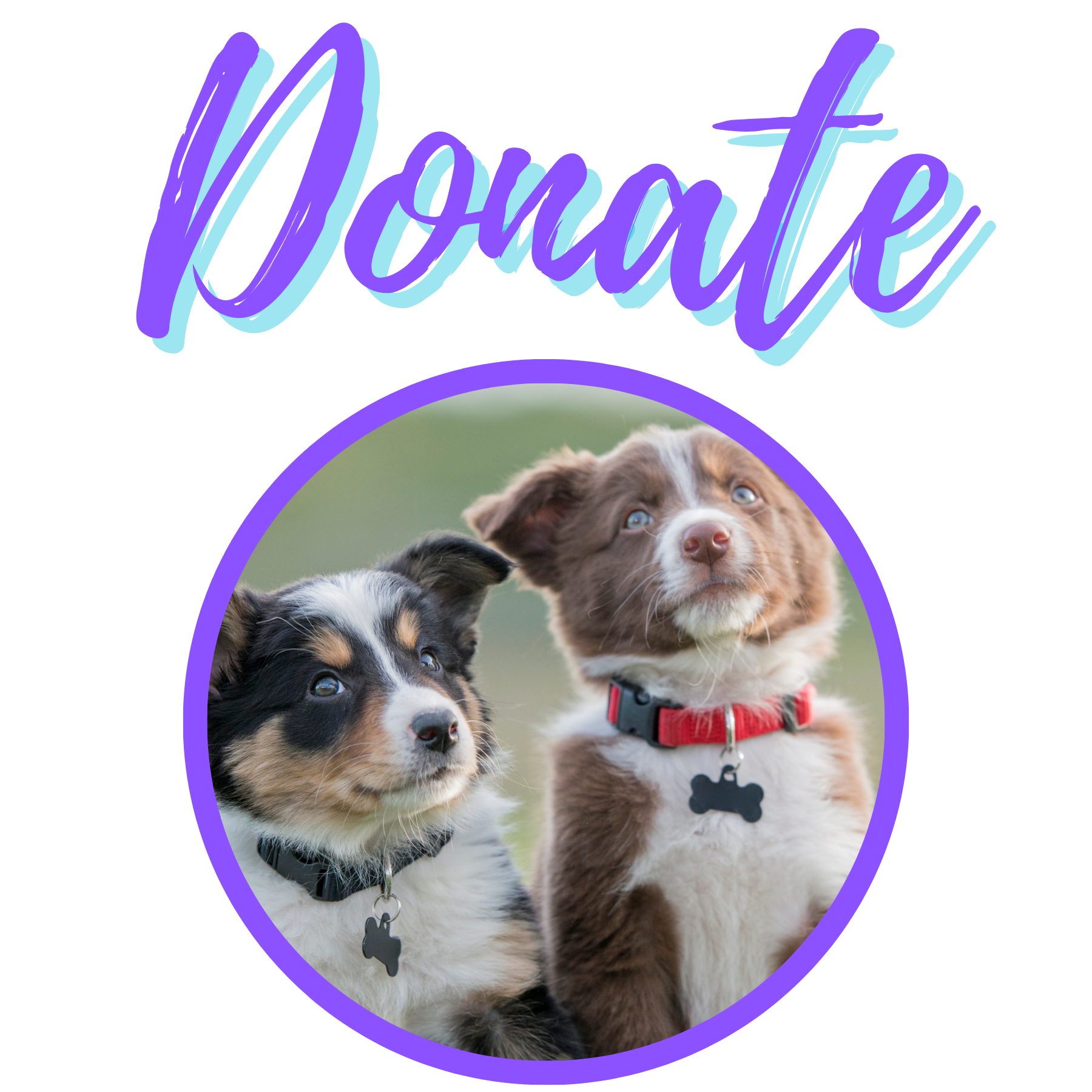 animal-services-donate-static