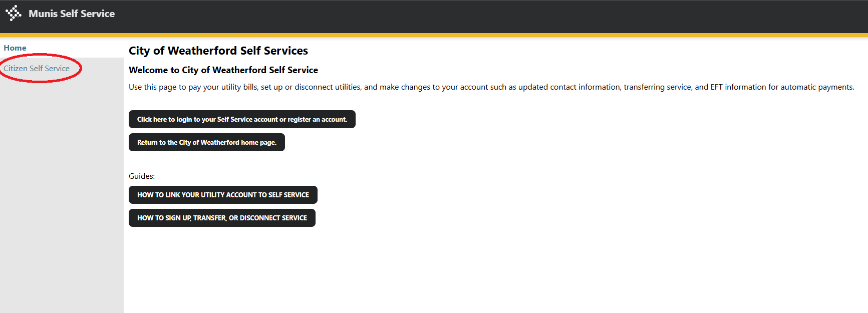 Citizen Self Service