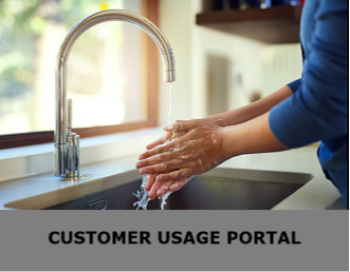 Customer Usage Portal